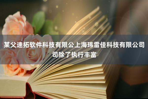 某父速拓软件科技有限公上海玮雷佳科技有限公司司除了执行丰富