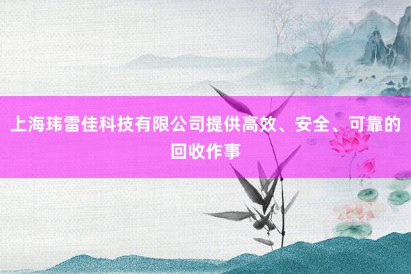 上海玮雷佳科技有限公司提供高效、安全、可靠的回收作事